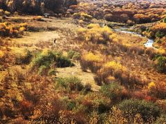 -塞罕坝国家级自然保护区