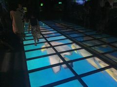 -常州海昌海洋探索馆
