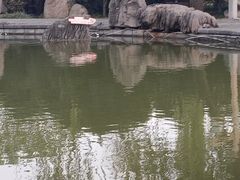 -洛阳市隋唐城遗址植物园