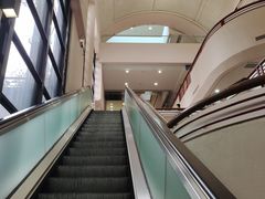 -香港大学