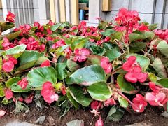 -云龙洗浴商务酒店