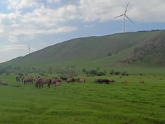 -塞罕坝国家级自然保护区