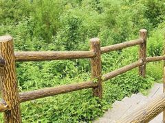 -白水寺森林公园