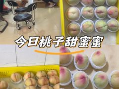 -老袁家蜜桃农场·阳山水蜜桃