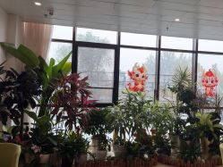 -北京家恩德仁医院-妇产科