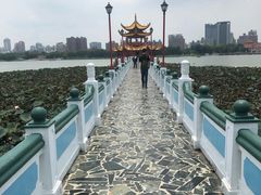 -龙虎塔