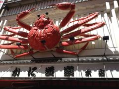 -蟹道乐(道顿堀本店)