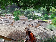 -杨家堂村