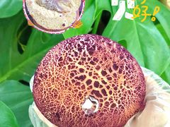 -福福饼店·金牌酥皮菠萝包(白丽生活广场店)