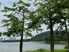 -顺峰山公园