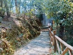 -仙岛湖旅游风景区