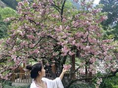 -黄山温泉国际旅游度假区