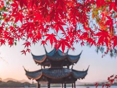-中国茶叶博物馆(双峰馆区)