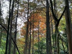 -广州市白云山风景名胜区