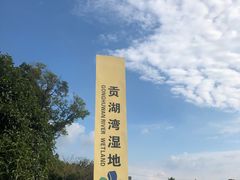 -贡湖湾湿地公园