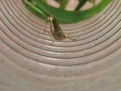 -白鹭湾湿地公园