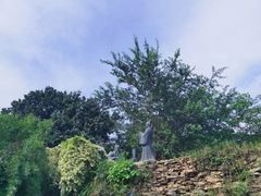 -广州神农草堂中医药博物馆
