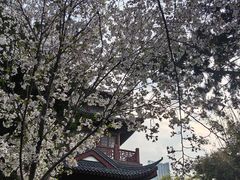 -堤角公园