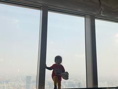 -上海柏悦酒店
