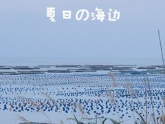 -南麂列岛