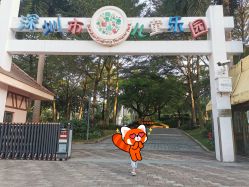 -深圳市儿童乐园