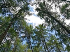 -硗碛藏寨·神木垒景区