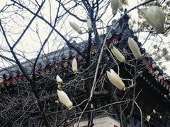 -北京艺术博物馆(万寿寺)