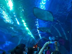 -成都浩海立方海洋公园