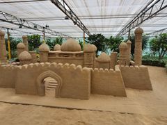 -南宫五洲植物乐园