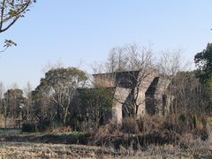 -广富林郊野公园