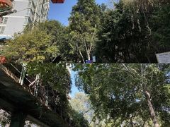 -攀枝花公园