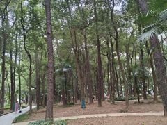 -东湖落雁景区