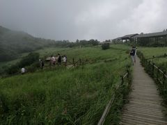 -白草畔自然风景区