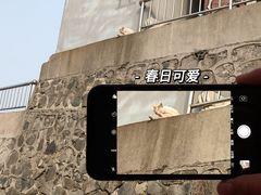 -南京金牛湖风景区