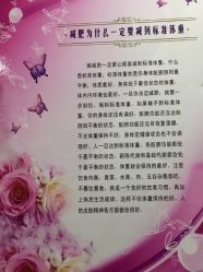 -苗塑堂减肥艾灸