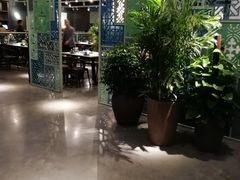 -百年果林椰子鸡(中洲店)