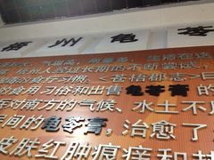 景观位-梧州双钱龟苓膏(丽港航母店)