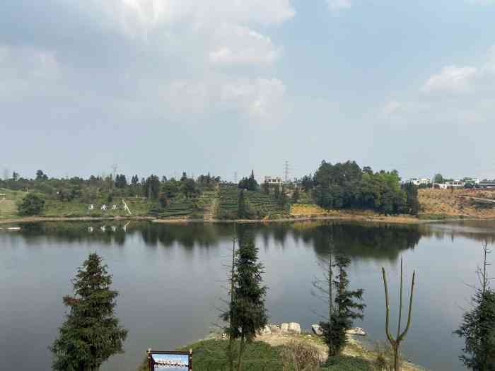 月亮湖农庄-"我们这次来,主要是在月亮湖度假山庄de茶.