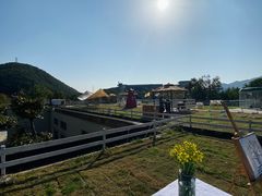 -宁波九龙湖开元度假村