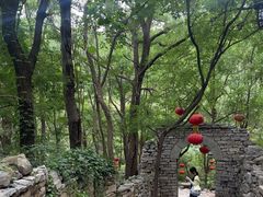 -井塘古村
