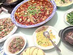 -新概念来凤鱼(璧山店)