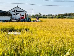 -小陆莲花蟹园农家乐(莲花岛店)