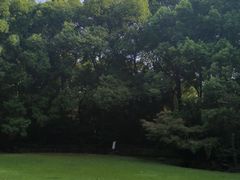 -上海市工艺美术博物馆