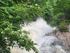 -鹿院坪生态旅游景区