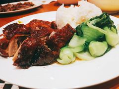 黑椒烧鹅-澳门陈光记烧味饭店(郎家园店)