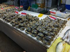 -济南海鲜大市场
