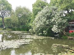 -西湖外事游船(花港观鱼码头)