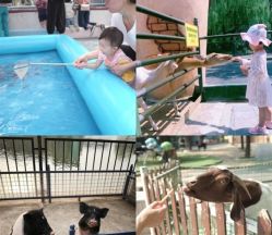 -萌宠亲子动物乐园(槐房万达店)