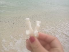 -白沙滩