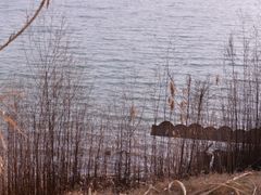 -南湖国家城市湿地公园